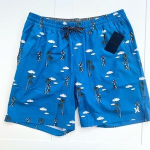 🔥 Closet Clearout!🔥 Hurley Mens Cannonball Blue Sea View Volley Swim Shorts.